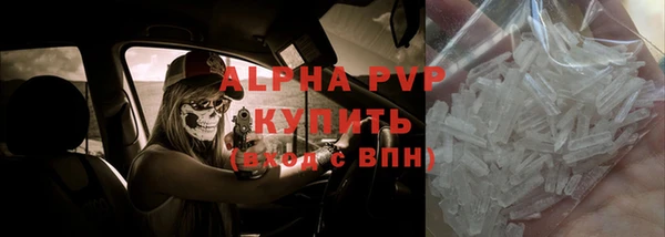 PSILOCYBIN Рославль