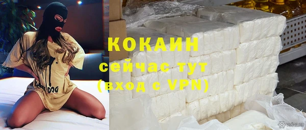 стаф Вязники