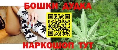 гашик Кинель