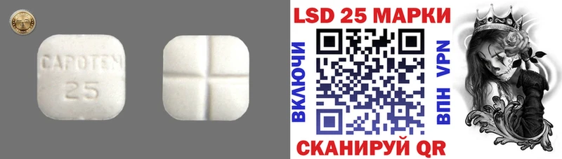 дарк нет наркотические препараты  Назарово  Лсд 25 экстази ecstasy 