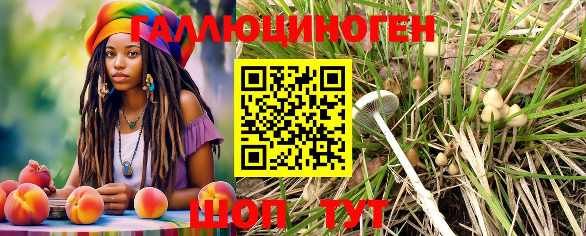 Галлюциногенные грибы MAGIC MUSHROOMS Назарово